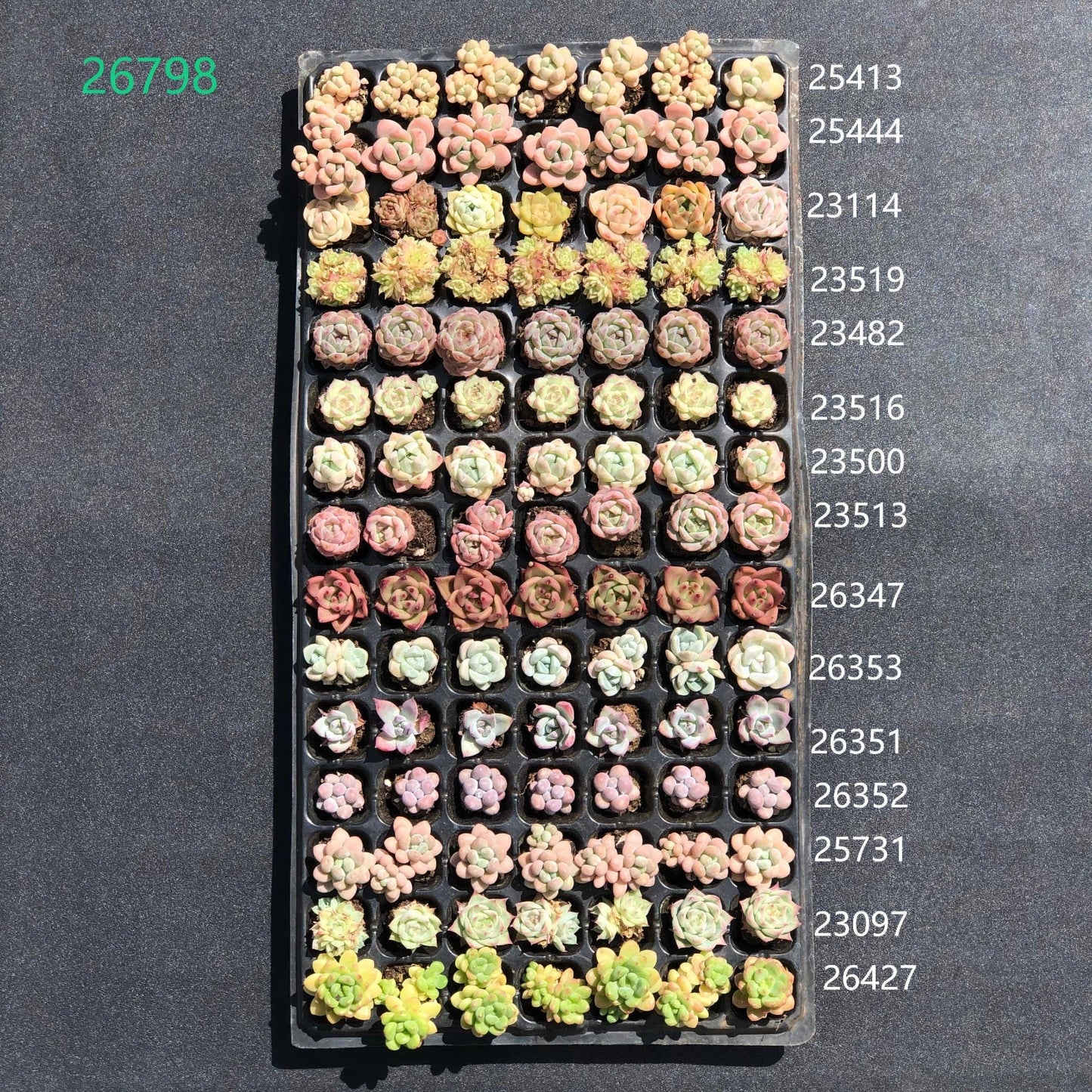 26798 105穴鍼灸プレートの組み合わせ 30
