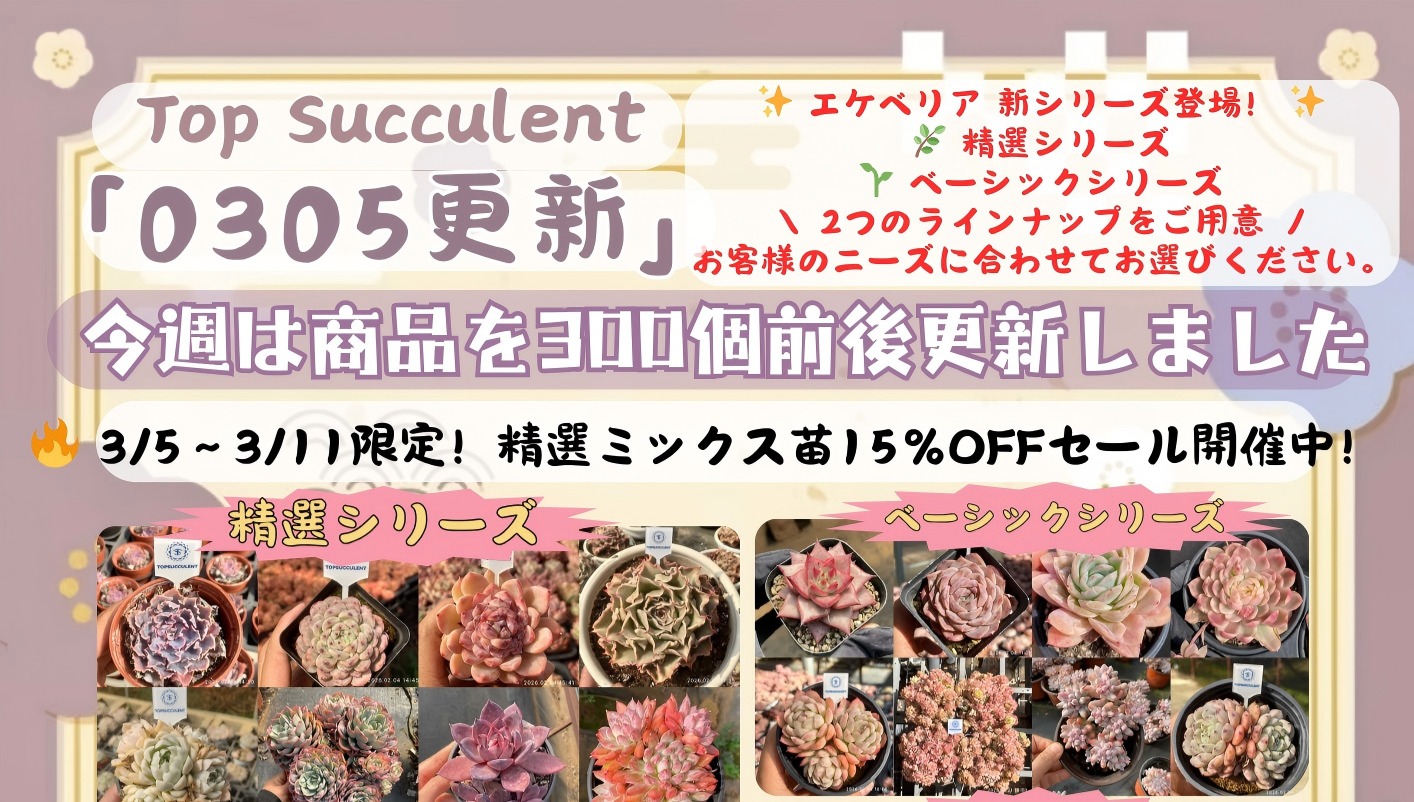 Yahoo!オークション -「fantasy」(サボテン) (観葉植物)の落札相場