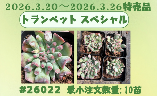 2026.3.20~2026.3.26特売品