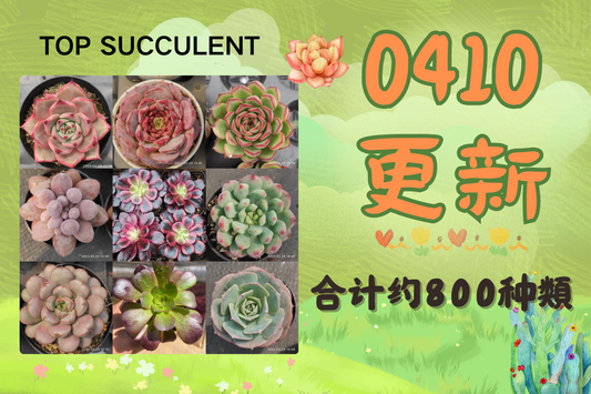新着-0410更新
