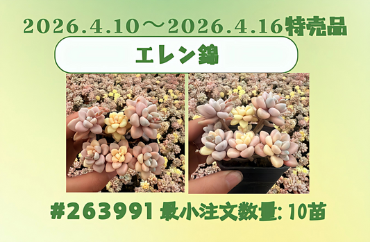 2026.4.10～2026.4.16特売品