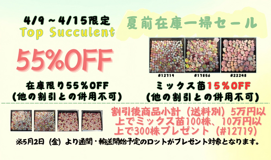 夏前在庫一掃セール！