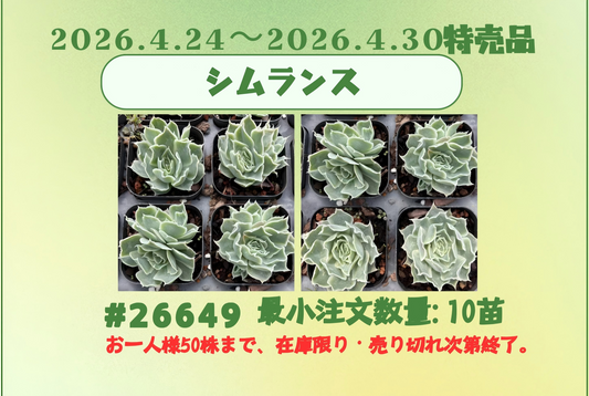 2026.4.24～2026.4.30特売品