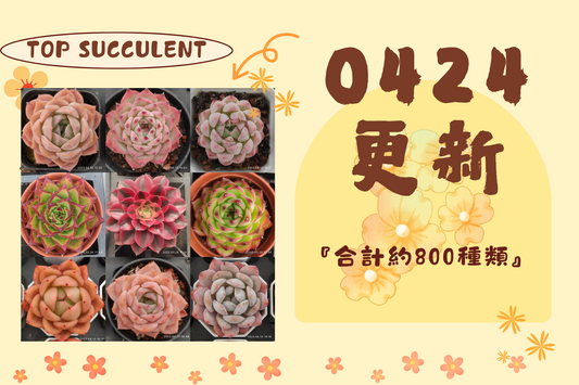 新着-0424更新