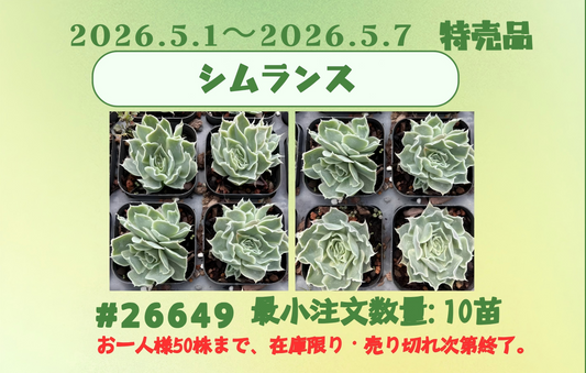 2026.5.1～2026.5.7特売品