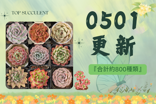 新着-0501更新