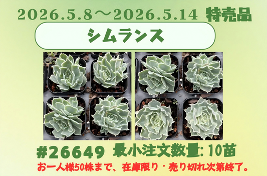 2026.5.8～2026.5.14特売品