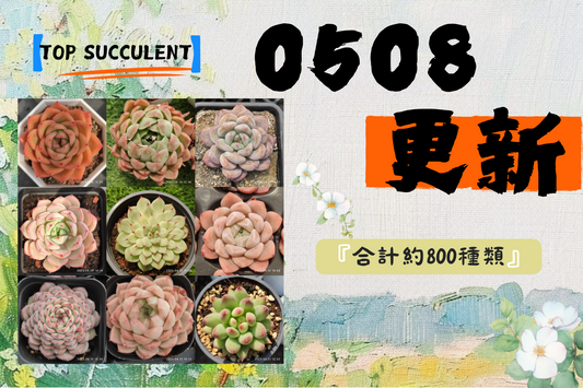 新着-0508更新