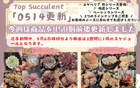 新着-0514更新