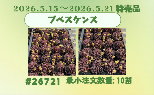 2026.5.15～2026.5.21特売品