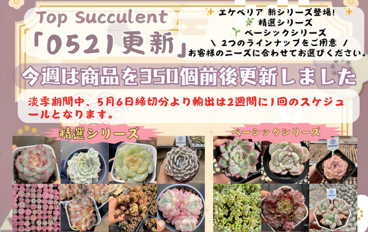新着-0521更新