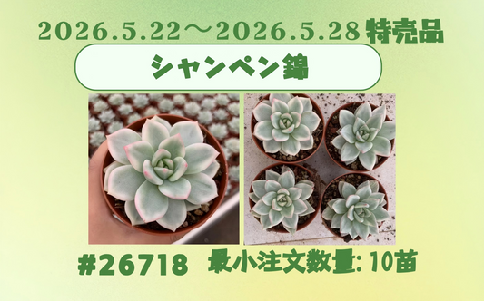2026.5.22～2026.5.28特売品