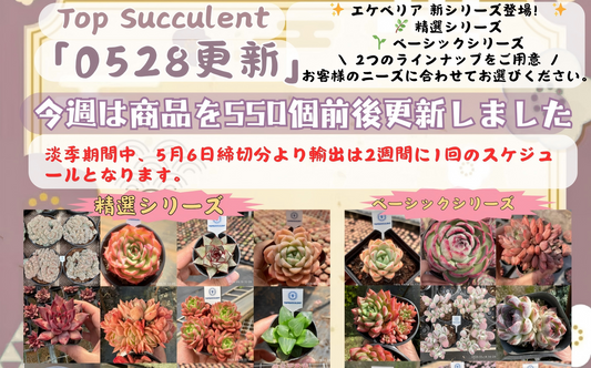 新着-0528更新