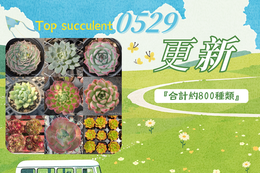 新着-0529更新