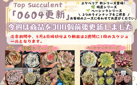 新着-0604更新