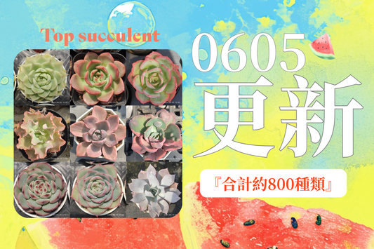 新着-0605更新