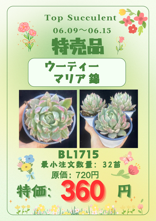 6.9~6.15特売品