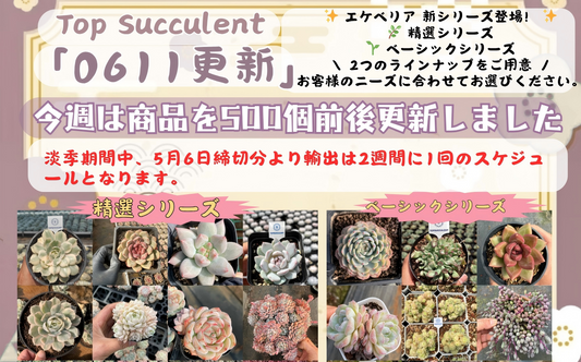 Top Succulent 中国多肉植物生産基地 日本へ輸出 通関 ドアツードア Top Succulent 中国多肉植物生産基地 日本へ輸出 通関 ドアツードア