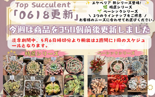 新着-0618更新