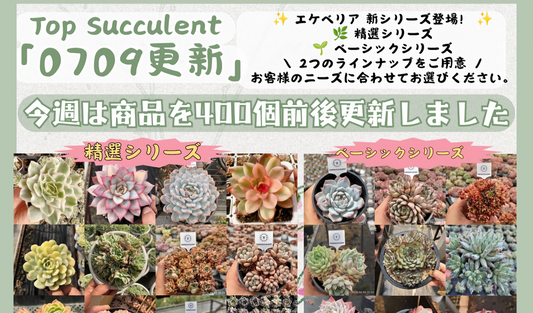 新着-0709更新