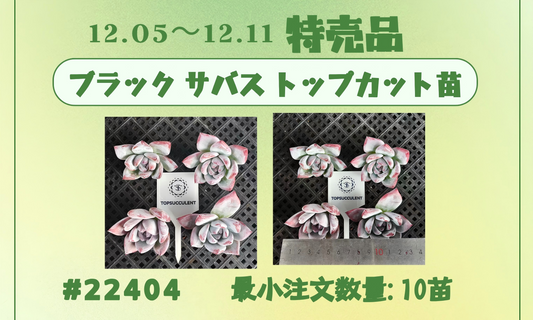 12.05~12.11特売品