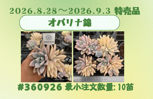 2026.8.28～2026.9.3特売品
