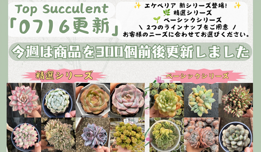 新着-0716更新