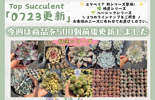 新着-0723更新