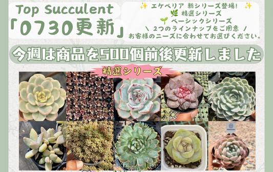 新着-0730更新