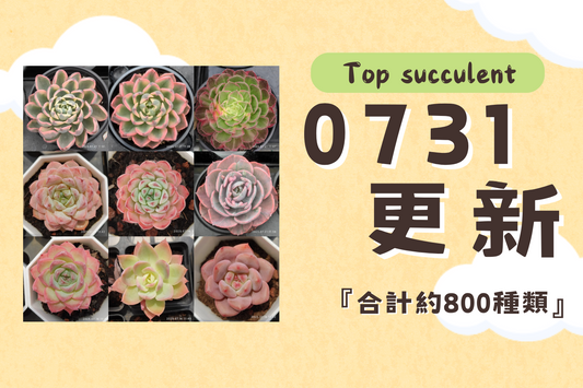 新着-0731更新