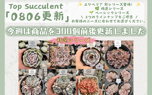 新着-0806更新