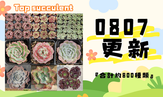 新着-0807更新