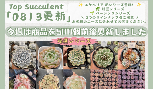 新着-0813更新