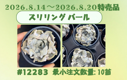 2026.8.14～2026.8.20特売品