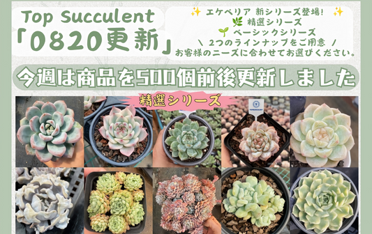 新着-0820更新