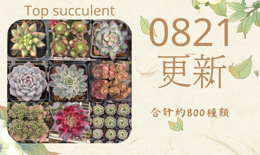 新着-0821更新