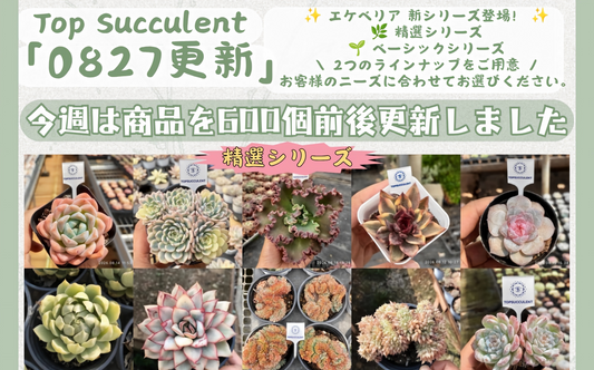 新着-0827更新
