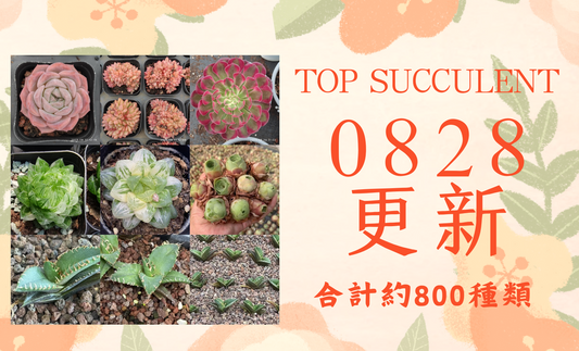 新着-0828更新