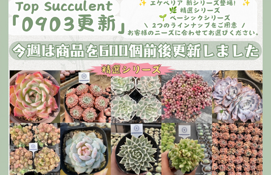 新着-0903更新