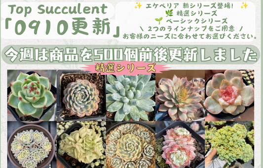 新着-0910更新