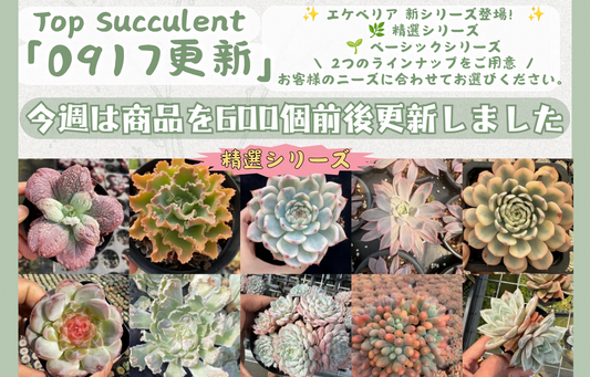 新着-0917更新