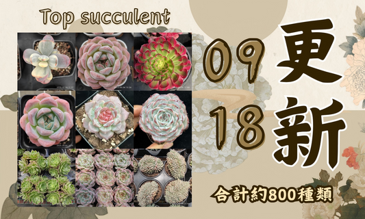 新着-0918更新