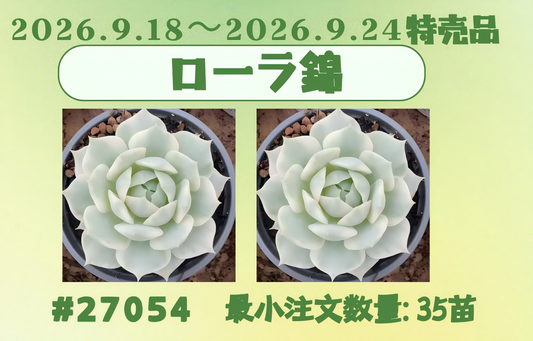2026.9.18～2026.9.24特売品