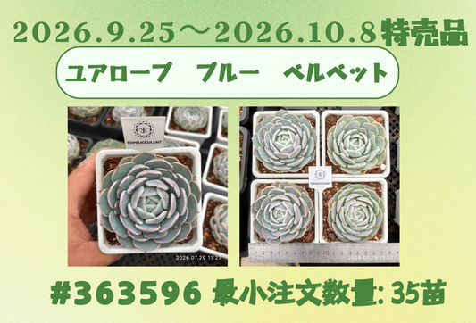 2026.9.25～2026.10.8特売品