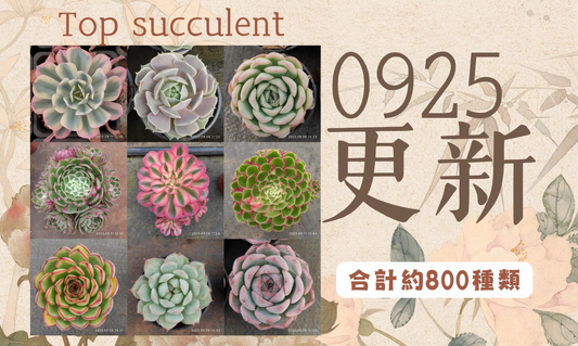 新着-0925更新