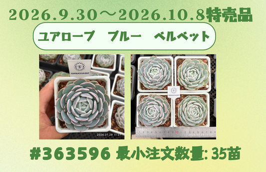 2026.9.30～2026.10.8特売品