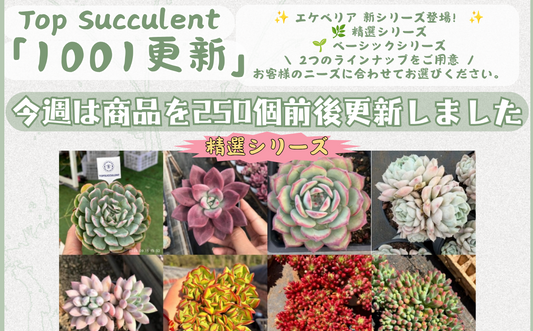 新着-1001更新