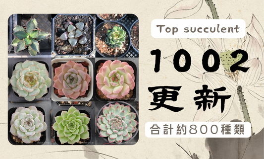 新着-1002更新