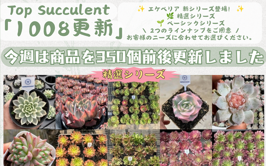 新着-1008更新