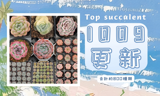 新着-1009更新